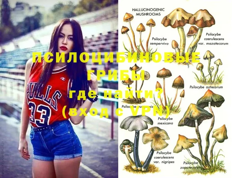 Псилоцибиновые грибы Magic Shrooms  Каневская 